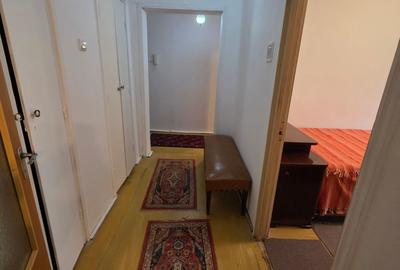 Titan, 10 minute metrou, chiar la intrarea in parcul IOR, pe Lotrioara, - 15