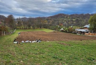 Teren vanzare in comuna Adunati - zona BREAZA - Prahova Teren vanzare in comuna Adunati - zona BREAZA - Prahova - 4