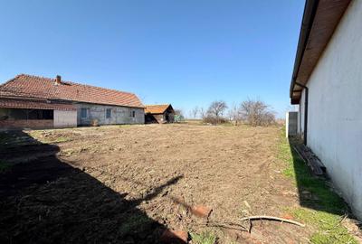 Spațiu comercial, în Cerna - 8