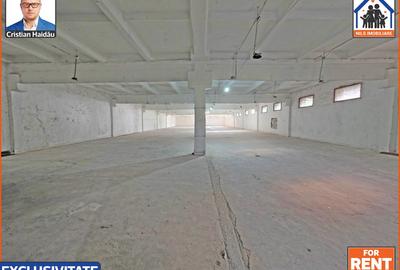 Hale de inchiriat in 1 Decembrie Ilfov | NILS Imobiliare - 6