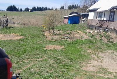 Casă cu 3 camere cu Teren 3892 Mp în Dorna Candrenilor - 2