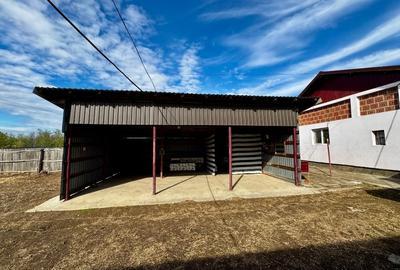 Casă de vânzare în Silisteni – 2 case, garaj, curte, grădină și livadă - 5