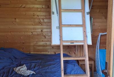 Casă cu 6 camere cu Teren 2700 Mp în Bradu - 17