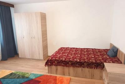 Garsonieră decomandată în Bucovina - 2