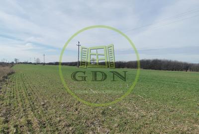 Teren agricol extravilan de 21496 mp, în Săcădat - 5