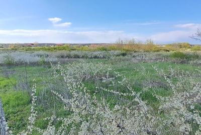 Mogosoaia, teren 792 mp, vedere la lac, utilitati, statie STB la 750m - 4