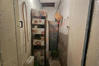 Casa Individuala, la intrarea in Ghiroda, pe CF de Timisoara. Gradina generoasa - 2