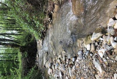 Teren Zona Turistica Transalpina - Pestera Muierilor 9.746 mp - 1