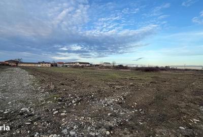 Spațiu comercial, în Săcălaz - 5