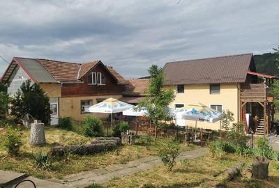 Spațiu comercial, de 245 mp, în Ceuaș - 8