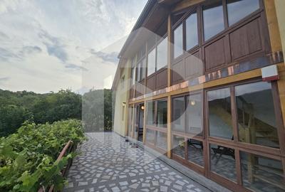 Casa individuala 4 camere teren 3825 mp Cisnadioara - 6