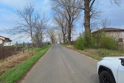 Teren de 726 mp, în Sinești - 1