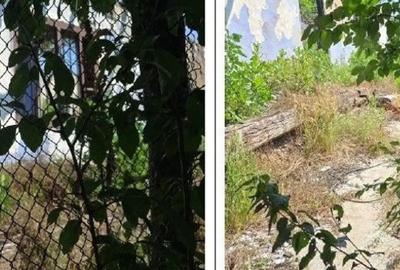 Casă cu 1 camere cu Teren 1200 Mp în Cucuruzu - 3