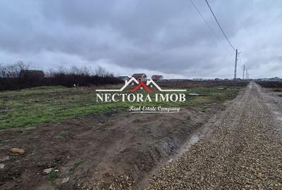 Teren de 501 mp, în Nojorid - 3