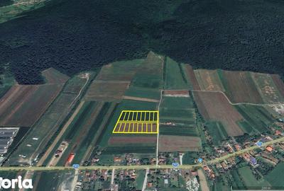 Teren de 400 mp, în Șoimuș - 4