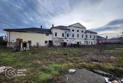 Proprietate tip conac, teren 4468 mp, oras Lipova - 2