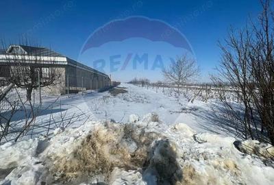 Teren de 2300 mp, în Răstoaca - 1