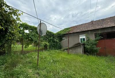 Casă cu 2 camere în Strei - 3