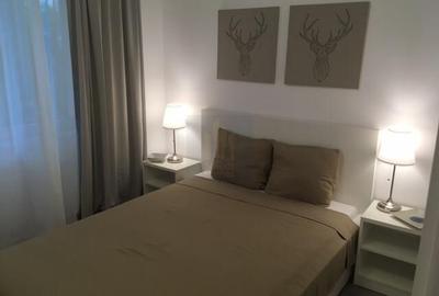 Apartament cu 2 camere decomandat, mobilat în Cișmigiu - 6