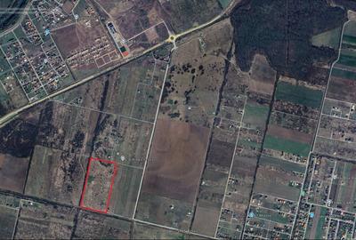 Teren Construcții intravilan de 602 mp, în Moșnița Nouă - 2
