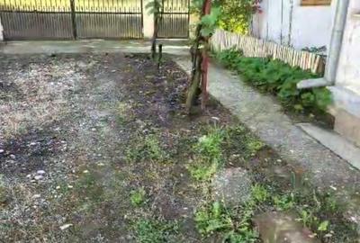Casă cu 3 camere în Daneți - 7