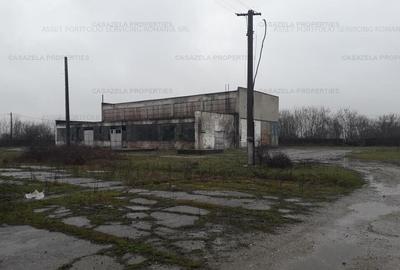 Spațiu comercial, de 6,602 mp, în Cermei - 5