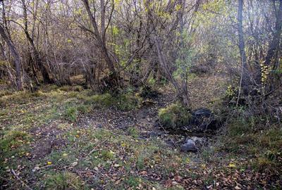 Teren Construcții intravilan de 2500 mp, în Tohănița - 6