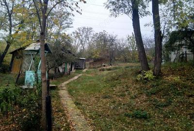 Casa batraneasca cu gradina in Botosani Casa batraneasca cu gradina in Botosani - 4