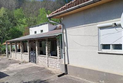 Casă cu 3 camere cu Teren 1500 Mp în Gurasada - 6