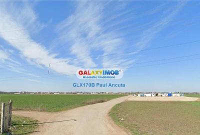 Teren 11 Ha acces Nod Autostrada A2 Gara Fundulea Industria - 5