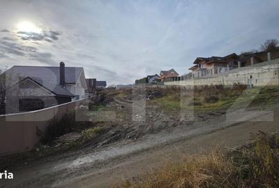 Spațiu comercial, în Viișoara - 2