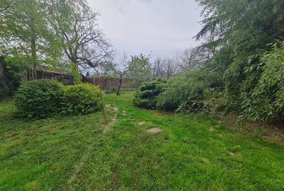 Casă individuală cu 6 camere cu Canalizare în Bălcescu - 28