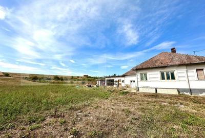 Casa la tara, teren 5500 mp ,Garbova de Jos - 4