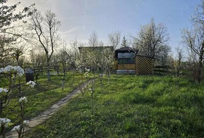 Casă cu 6 camere cu Teren 7000 Mp în Făget - 2