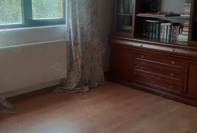 Proprieta,vind vila in Lunca Cetatuii - 5