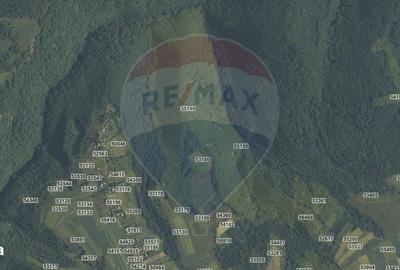 Teren de 90000 mp, în Căpușu Mare - 2