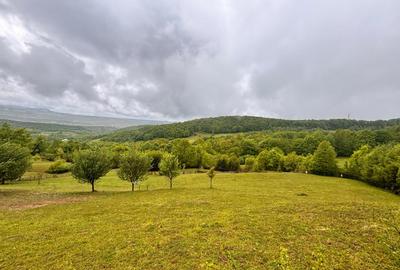 Teren Construcții extravilan de 50000 mp, în Sud-Est - 8