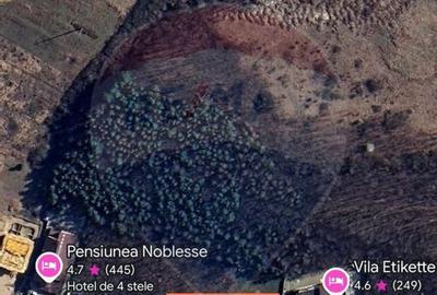 Oportunitate investi?ie B. Felix teren intravilan cu PUZ... - 3