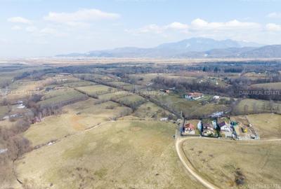Teren Construcții intravilan de 5967 mp, în Bran - 13