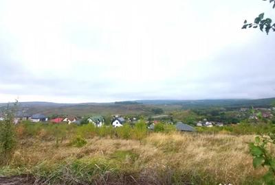 Teren de 1500 mp, în Bârnova - 4