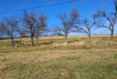 Casa Valea tarnei 8 hectare p mant - 4