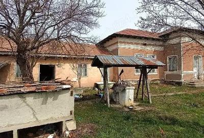 Casă cu 9 camere cu Teren 3100 Mp în Segarcea-Deal - 4