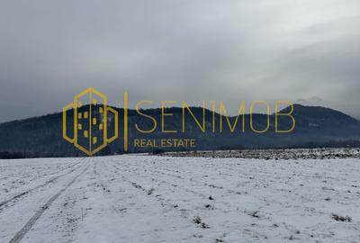 Comision 0%! Teren de vânzare pe Glajerie - Rasnov - 5