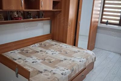 Vand camera camin 23m lapus Arge? caminul avioane - 4