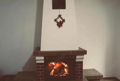 Casă cu 5 camere cu Teren 650 Mp în Râu Sadului - 14