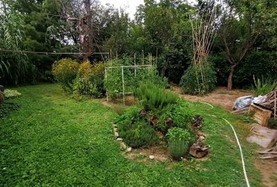 Casă cu 2 camere în Central - 1