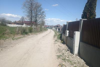 Spațiu comercial, în Cărpiniș - 3