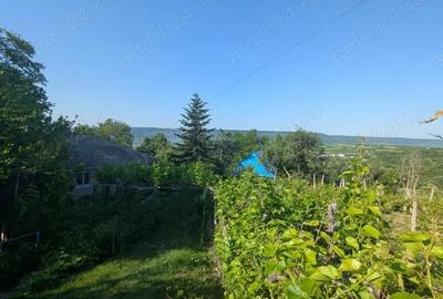 Casă cu 6 camere cu Teren 23000 Mp în Horodiștea - 8