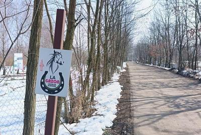 Teren de 800 mp, în Joița - 16