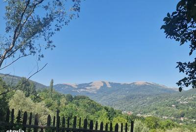 Teren de 2350 mp, în Ghioșești - 5